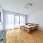 Apartment Michelska